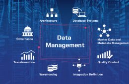 Database Management for the Recruitment Consultant Business